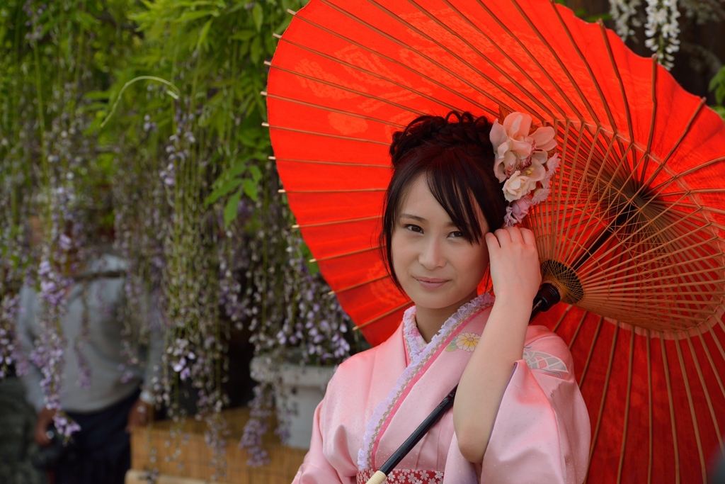 石井町藤まつり