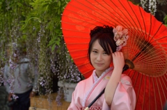 石井町藤まつり