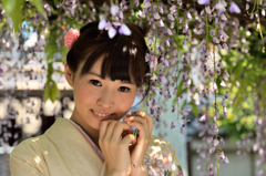 藤まつり