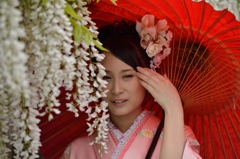 石井町藤まつり