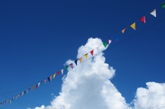 今年の夏も暑かった、