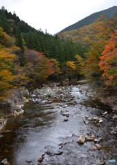 渓流の彩り