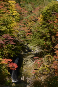 彩り大滝
