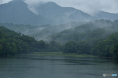 雨景色