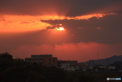 夕日に照らされ