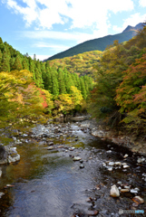 渓流の彩り