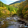 渓流の彩り