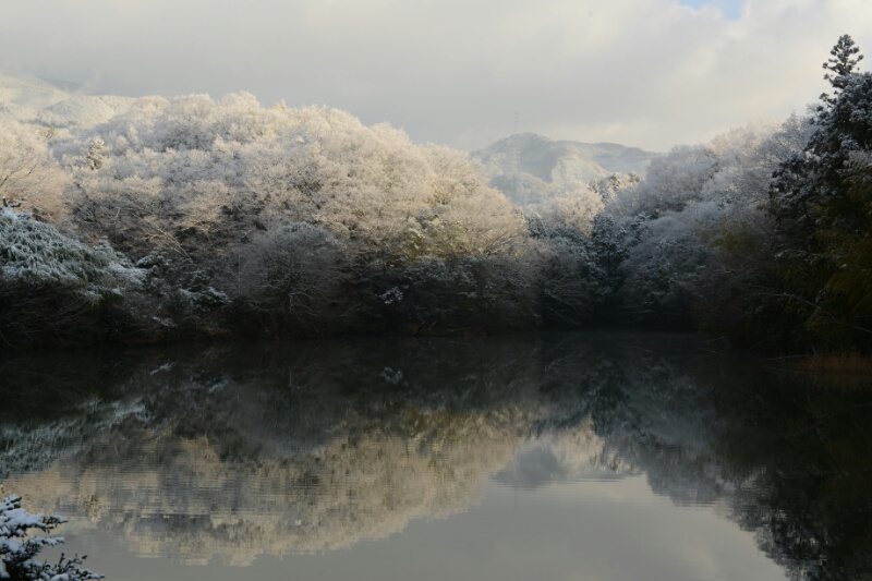 雪化粧