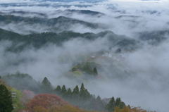 朝霧