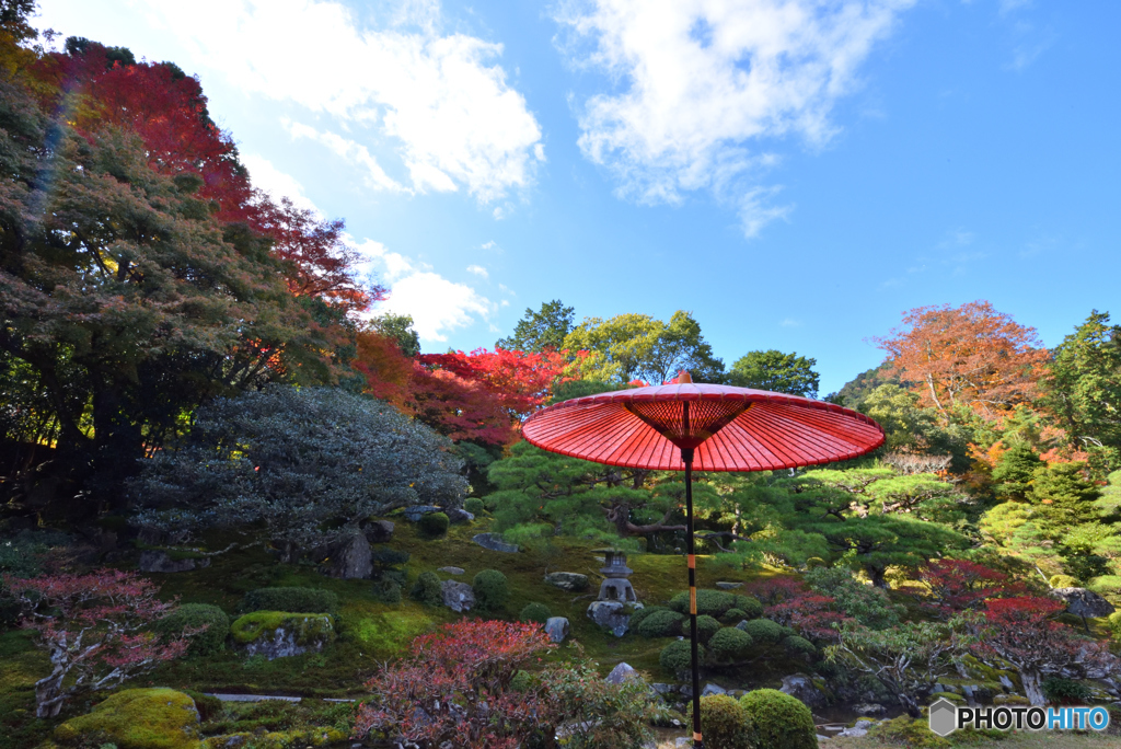 日本の庭園
