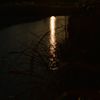 吉野川