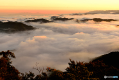 雲海