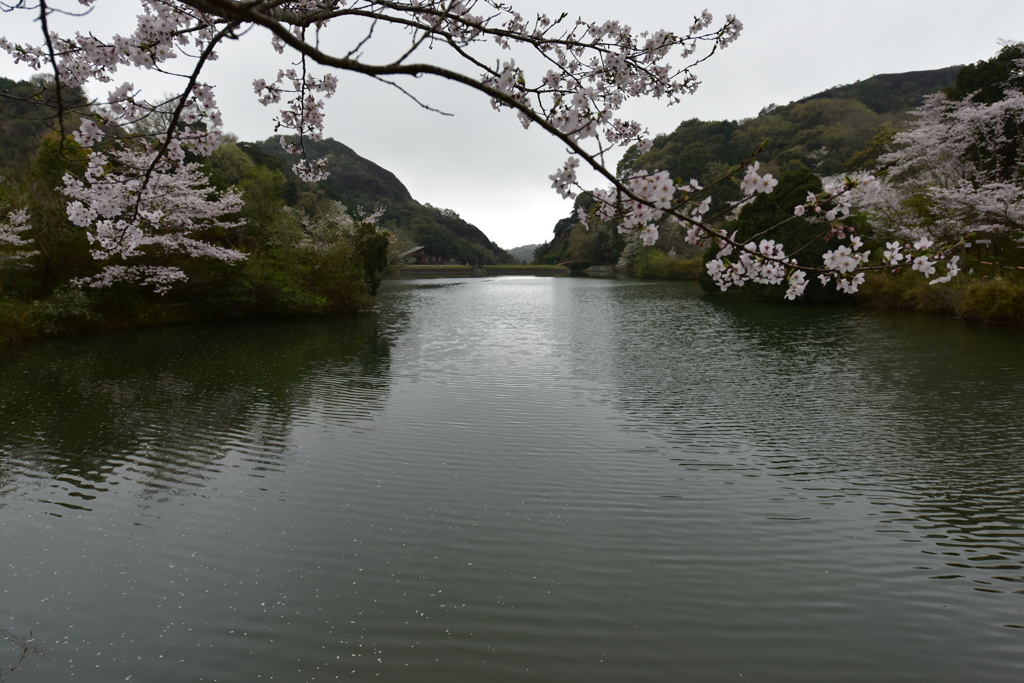 春の一時