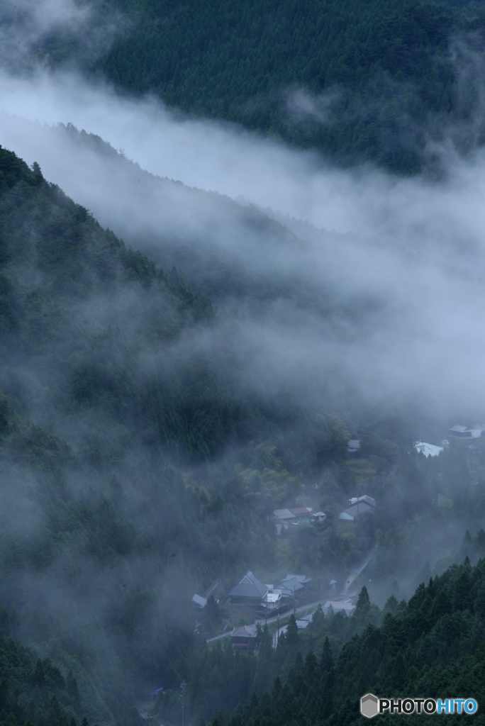 煙る里山