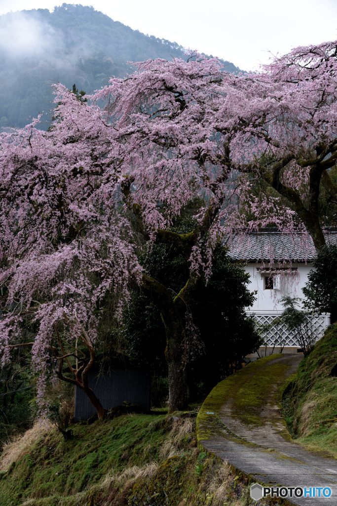 悠久の蔵