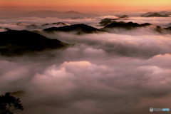 深山の雲海