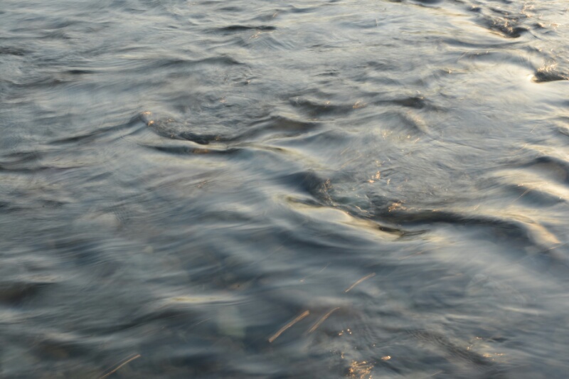 川面に流れる黄金の夕陽