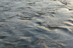 川面に流れる黄金の夕陽