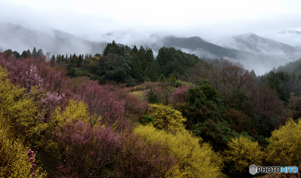 天空の里山