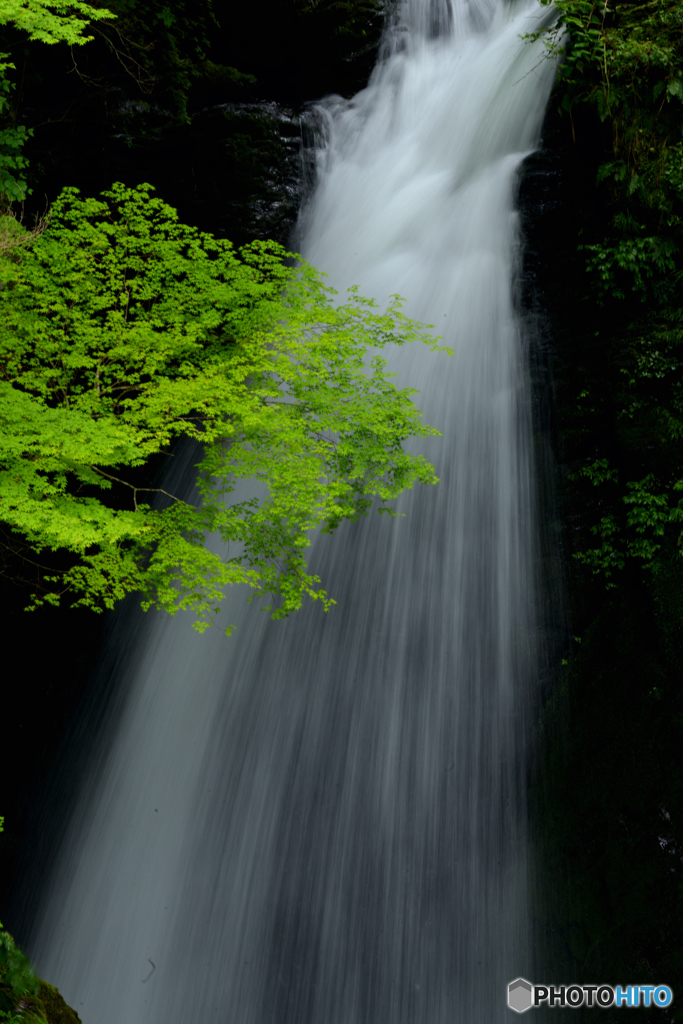 高野大滝