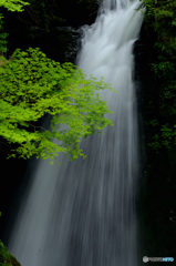 高野大滝