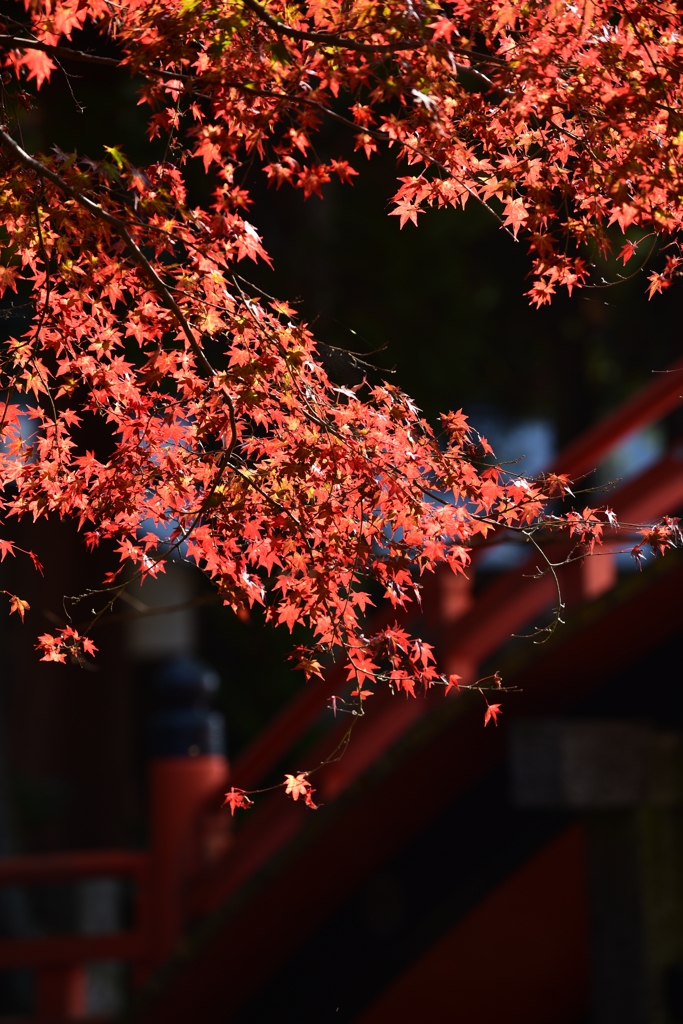 太鼓橋