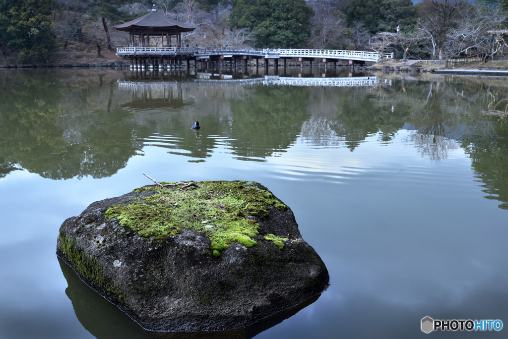 悠久の岩