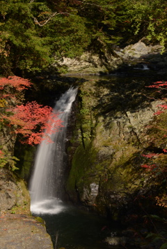 高野大滝