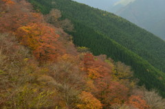 二色の色沿い