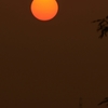夕陽