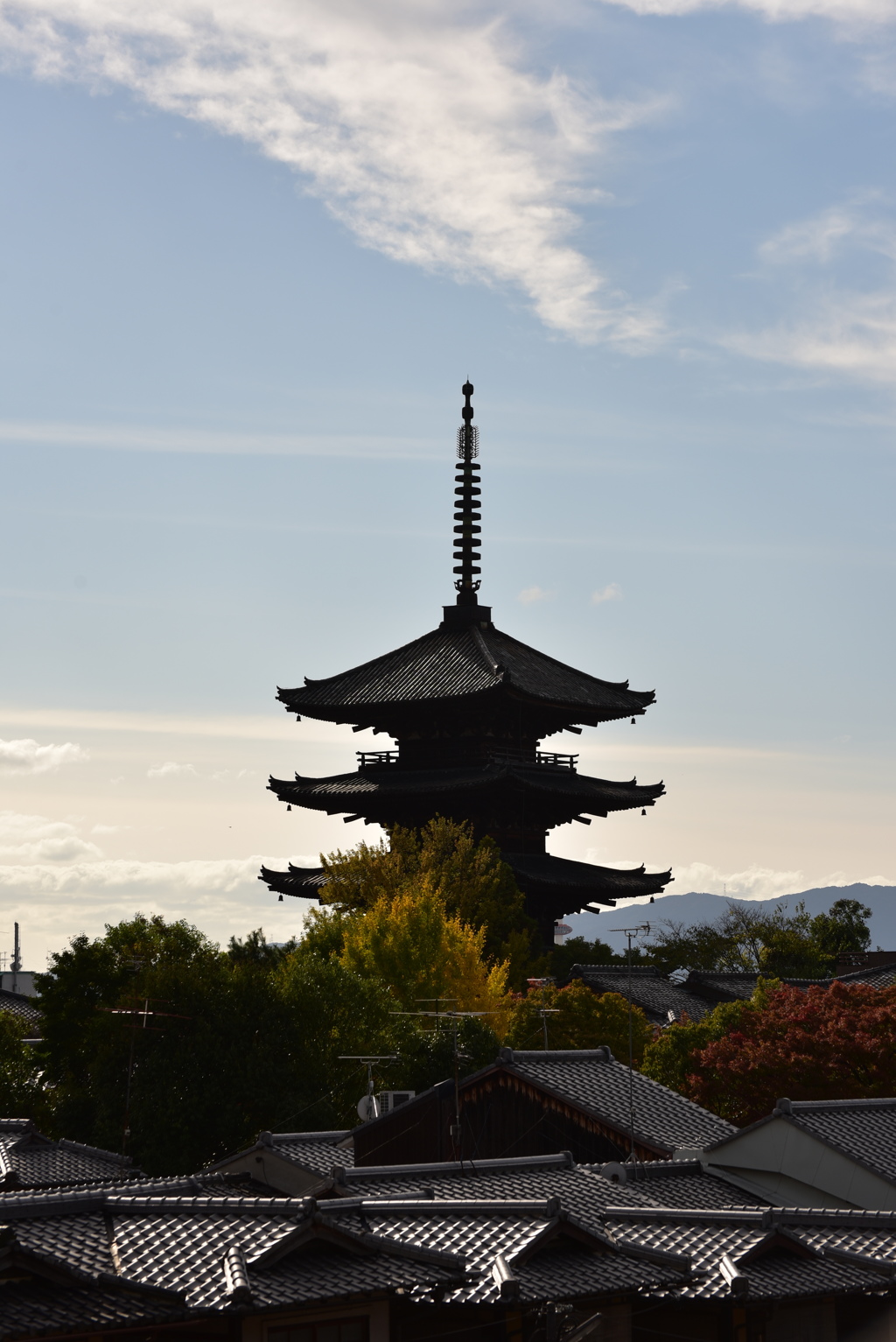 秋の東寺