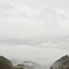 霧中の森