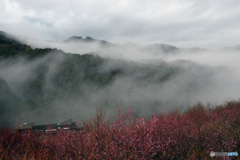 湧き出る雲