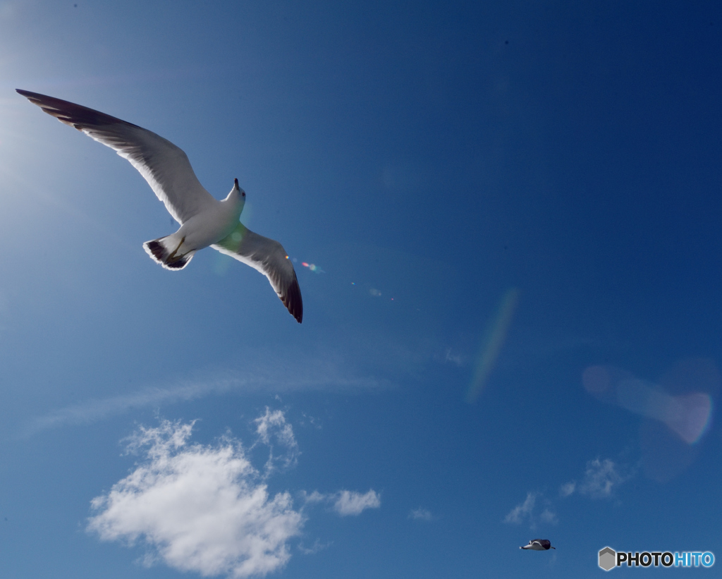 青空に