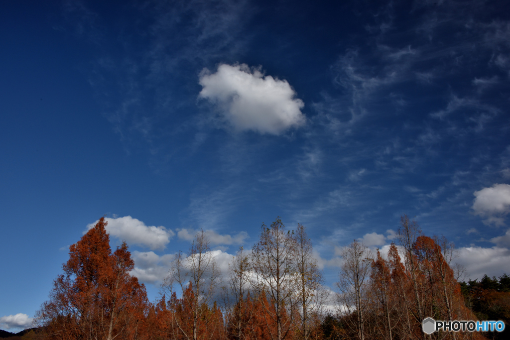 秋空