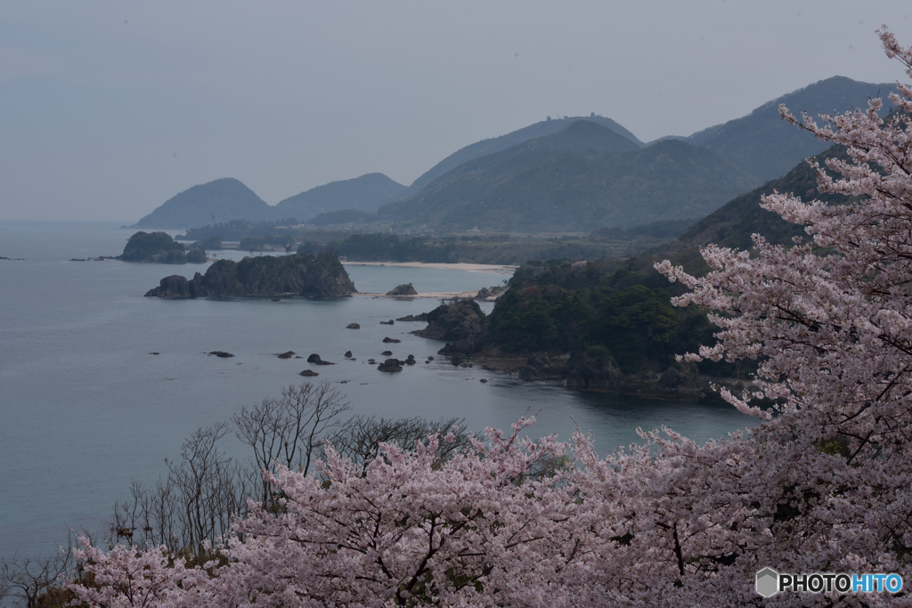 岬の春