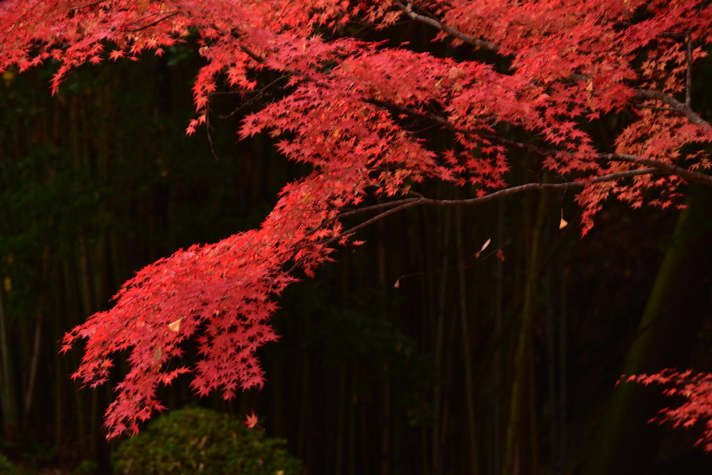 三石不動寺2