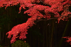 三石不動寺2