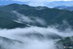 雲海20