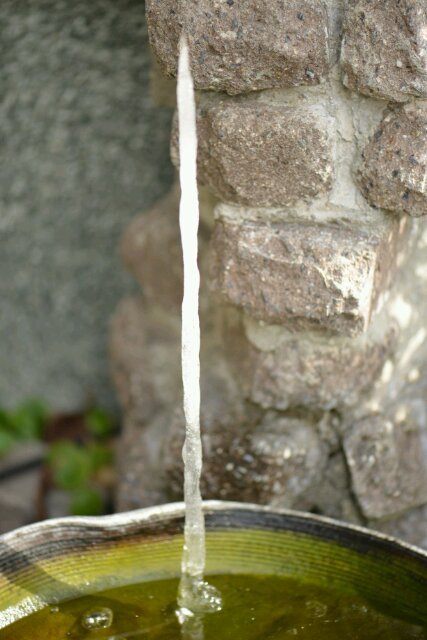 鉢の中に氷の柱