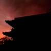 燃える根来寺