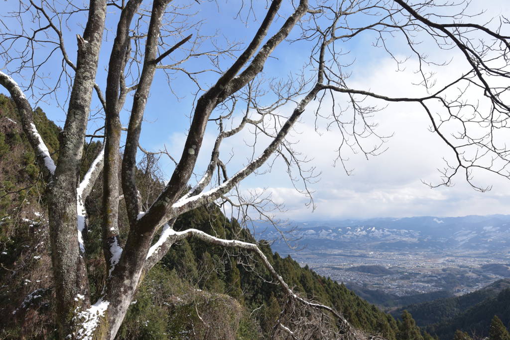 大和の冬景色