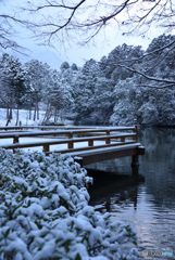 雪舞台