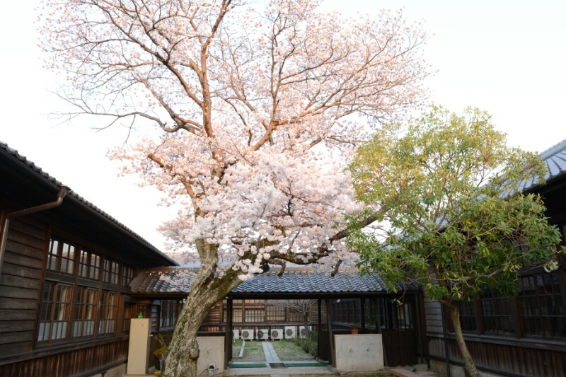 高野口小学校中庭