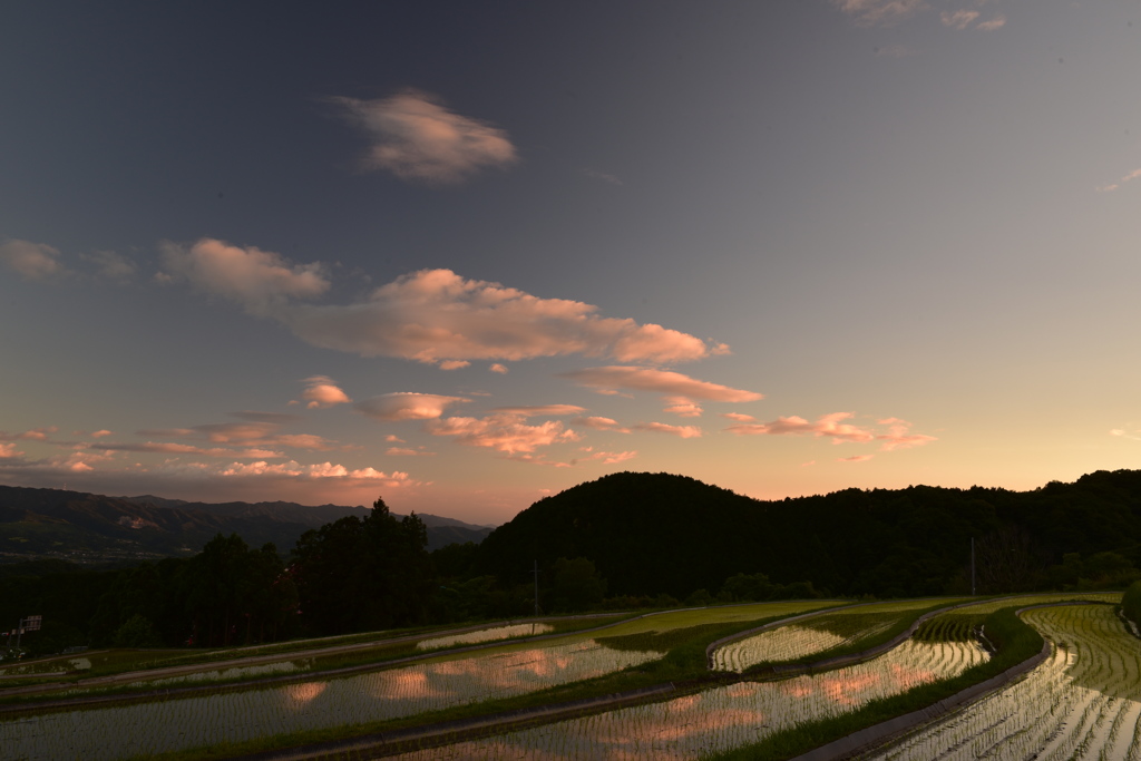 夕暮れの田園