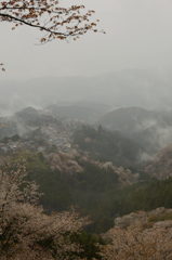 雨の奥千本
