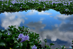 水鏡