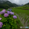 原風景