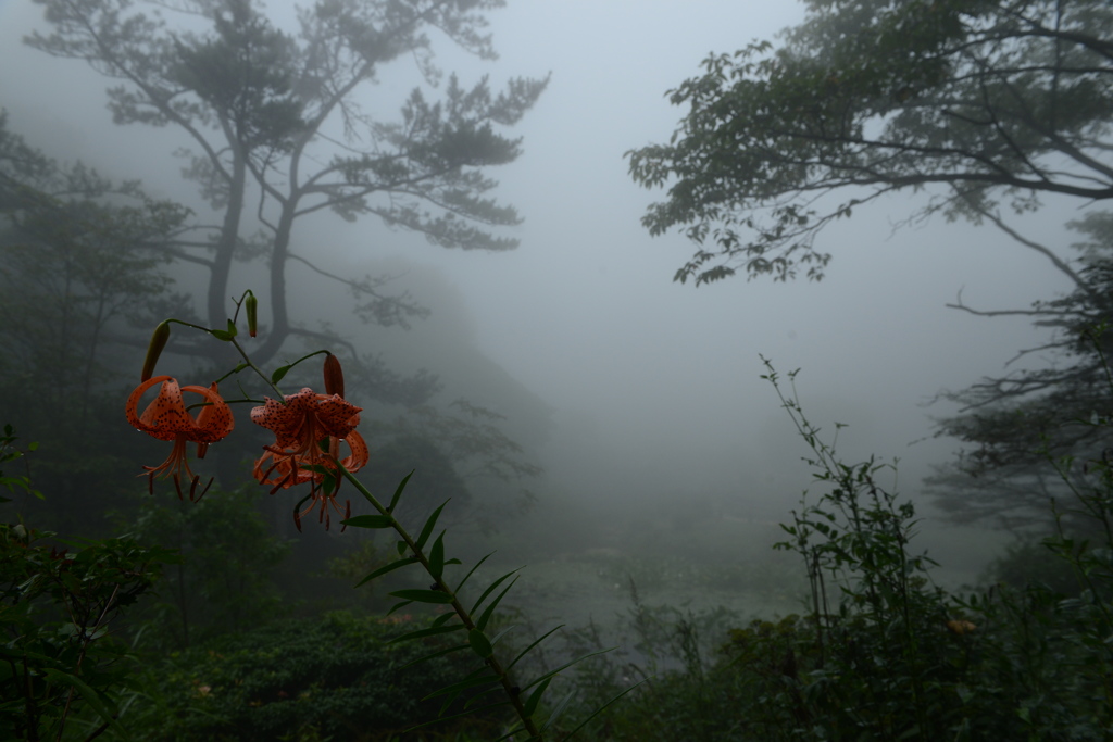 霧に包まれて…