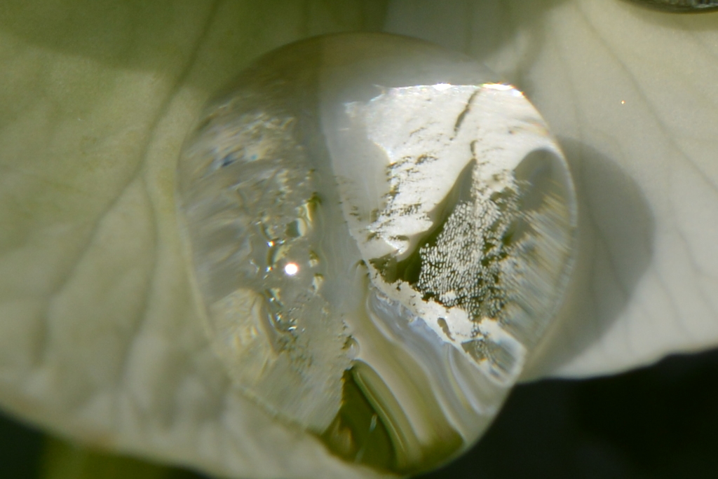 水滴
